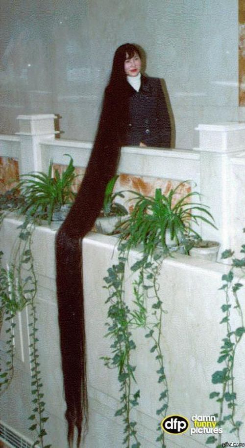 Самые Длинные Волосы Фото