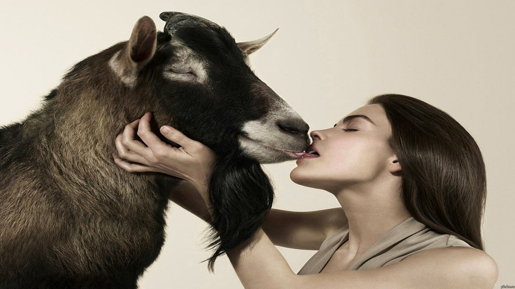 Животные и женщины любовь