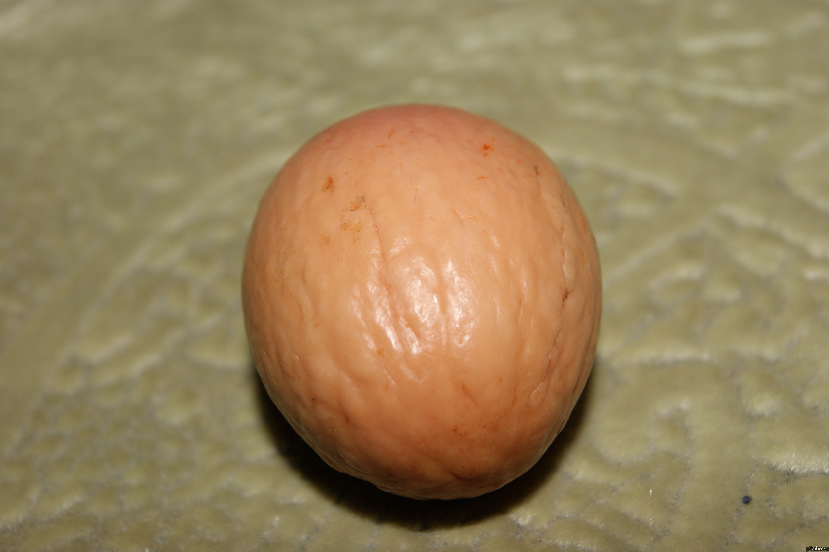 Фото мужское яйцо 4 фотография