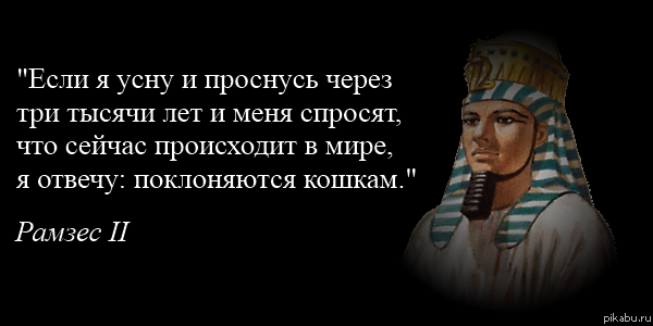 http://apikabu.ru/img_n/2012-08_1/zyg.png